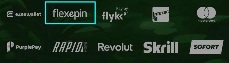 Casinos accepting Flexepin