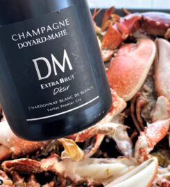 Opimian: Canada’s Wine Club for the Curious