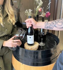 Opimian: Canada’s Wine Club for the Curious