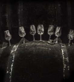 Opimian: Canada’s Wine Club for the Curious