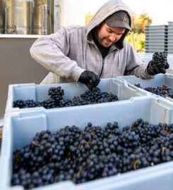 Opimian: Canada’s Wine Club for the Curious
