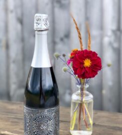 Opimian: Canada’s Wine Club for the Curious
