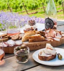 Opimian: Canada’s Wine Club for the Curious
