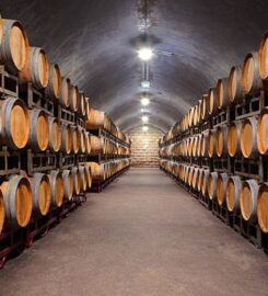Opimian: Canada’s Wine Club for the Curious