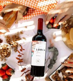 Opimian: Canada’s Wine Club for the Curious