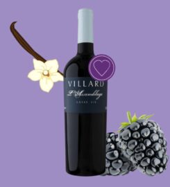 Opimian: Canada’s Wine Club for the Curious