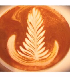 The Tea Factory Calgary – Premium Tea for Every Taste