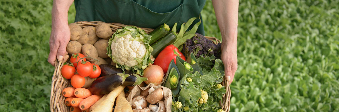 farmer with various vegetables in hand